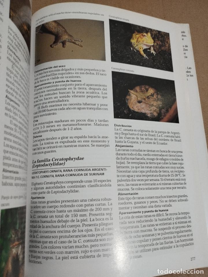 Libros de segunda mano: LA ENCICLOPEDIA DEL TERRARIO (EUG&Egrave;NE BRUINS) - Foto 5