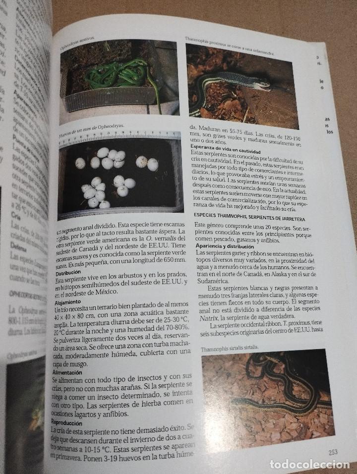 Libros de segunda mano: LA ENCICLOPEDIA DEL TERRARIO (EUG&Egrave;NE BRUINS) - Foto 6