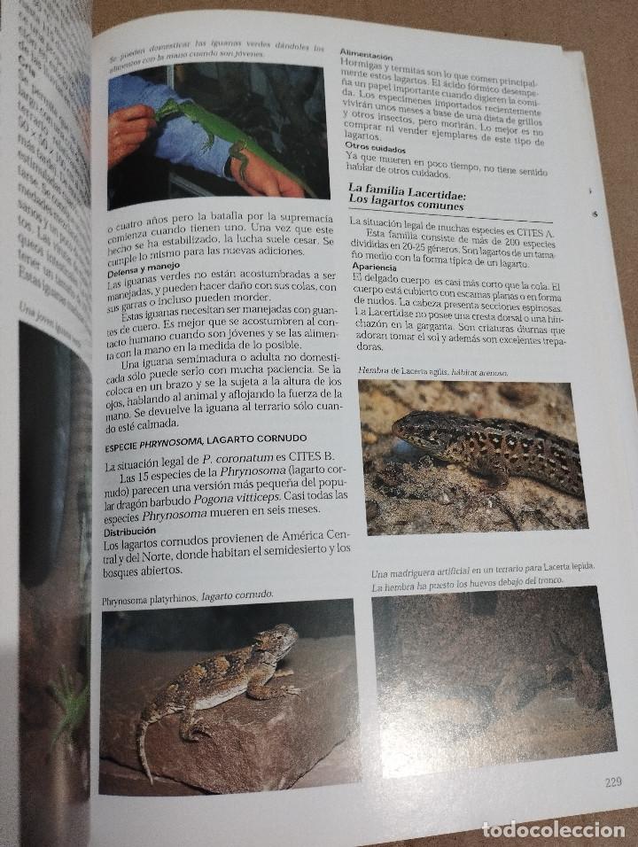 Libros de segunda mano: LA ENCICLOPEDIA DEL TERRARIO (EUG&Egrave;NE BRUINS) - Foto 7