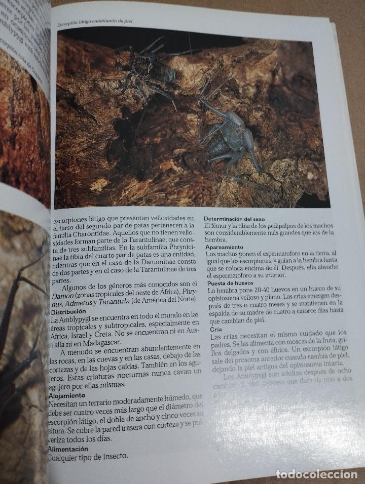 Libros de segunda mano: LA ENCICLOPEDIA DEL TERRARIO (EUG&Egrave;NE BRUINS) - Foto 8
