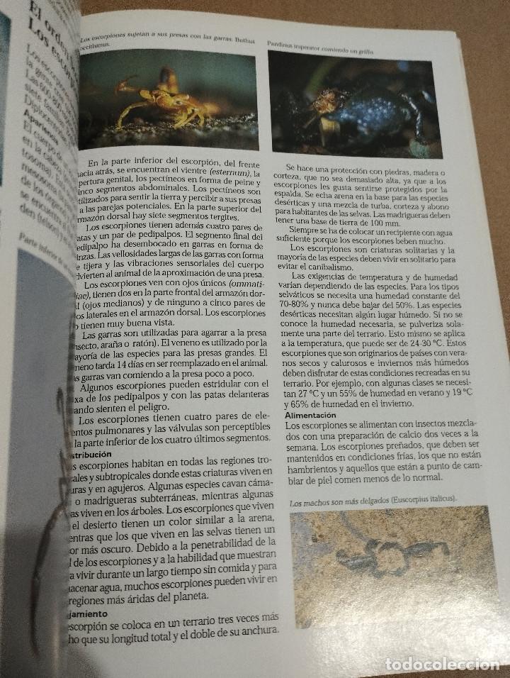 Libros de segunda mano: LA ENCICLOPEDIA DEL TERRARIO (EUG&Egrave;NE BRUINS) - Foto 9