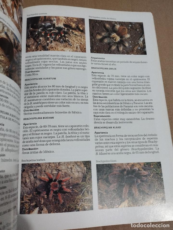 Libros de segunda mano: LA ENCICLOPEDIA DEL TERRARIO (EUG&Egrave;NE BRUINS) - Foto 10