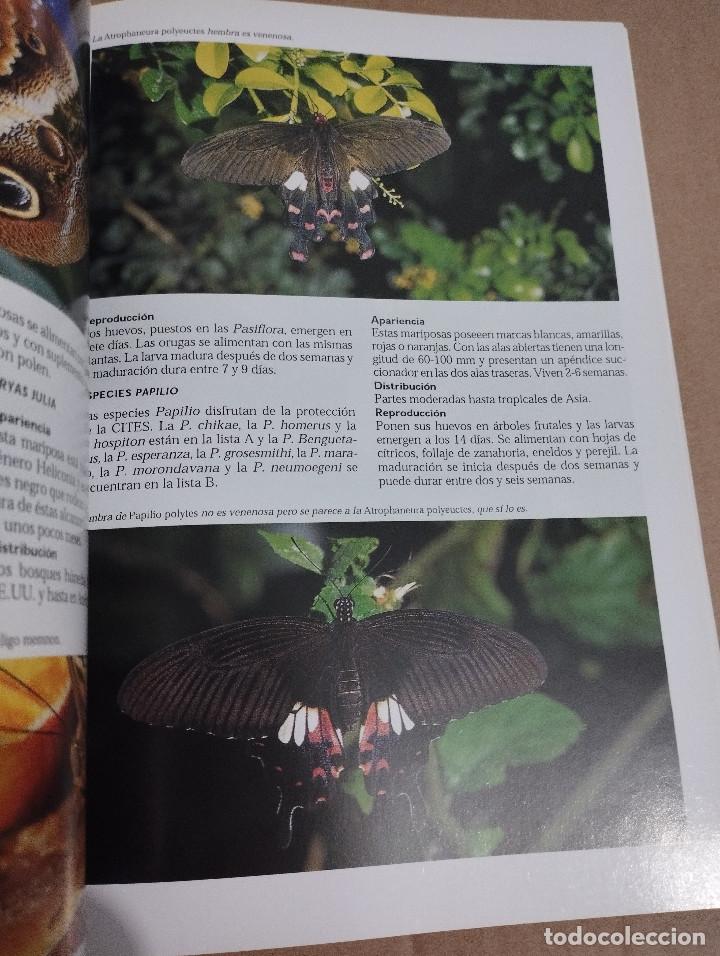 Libros de segunda mano: LA ENCICLOPEDIA DEL TERRARIO (EUG&Egrave;NE BRUINS) - Foto 11