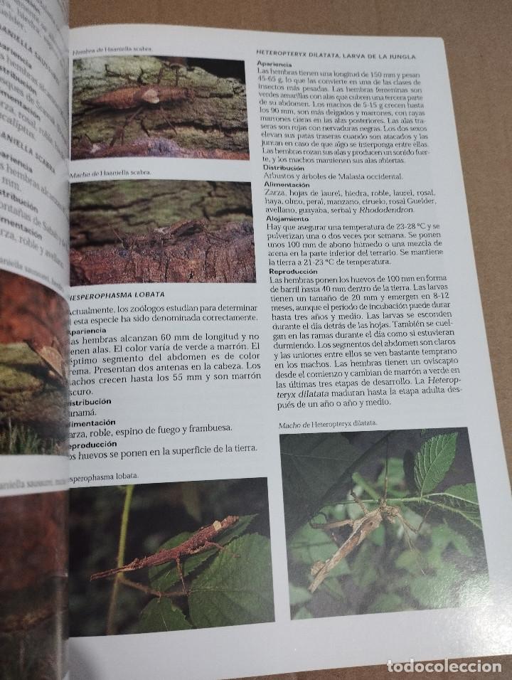 Libros de segunda mano: LA ENCICLOPEDIA DEL TERRARIO (EUG&Egrave;NE BRUINS) - Foto 12