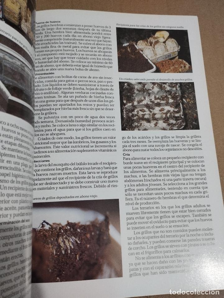 Libros de segunda mano: LA ENCICLOPEDIA DEL TERRARIO (EUG&Egrave;NE BRUINS) - Foto 13