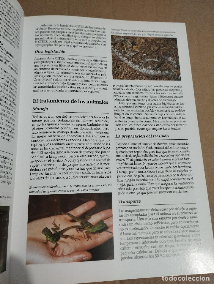 Libros de segunda mano: LA ENCICLOPEDIA DEL TERRARIO (EUG&Egrave;NE BRUINS) - Foto 15