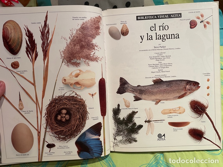 Libros de segunda mano: El r&iacute;o y la laguna: enciclopedia visual altea - Foto 2
