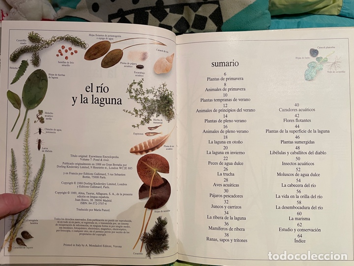 Libros de segunda mano: El r&iacute;o y la laguna: enciclopedia visual altea - Foto 4