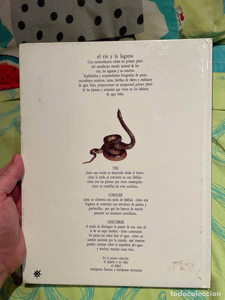 Libros de segunda mano: El r&iacute;o y la laguna: enciclopedia visual altea - Foto 5