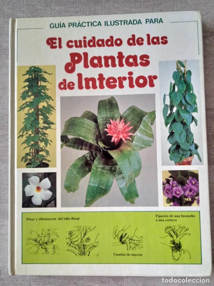 Libros de segunda mano: Gu&iacute;a pr&aacute;ctica ilustrada para EL CUIDADO DE LAS PLANTAS DE INTERIOR - Foto 1