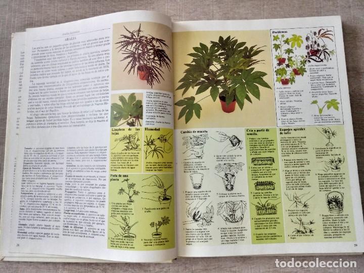 Libros de segunda mano: Gu&iacute;a pr&aacute;ctica ilustrada para EL CUIDADO DE LAS PLANTAS DE INTERIOR - Foto 3