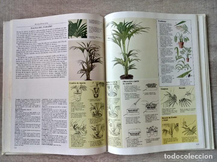 Libros de segunda mano: Gu&iacute;a pr&aacute;ctica ilustrada para EL CUIDADO DE LAS PLANTAS DE INTERIOR - Foto 4