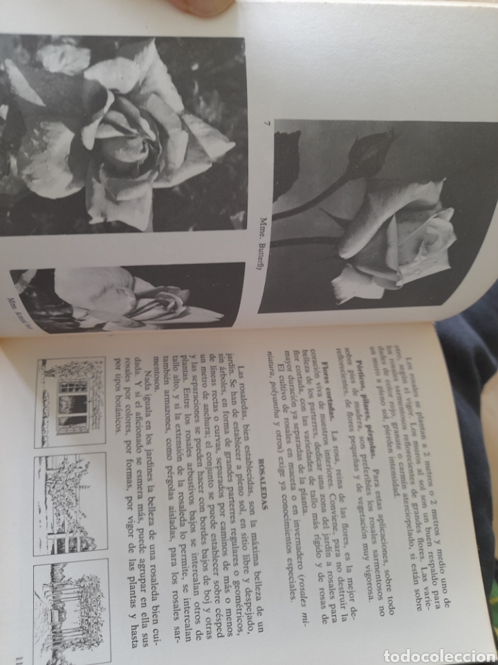 Libros de segunda mano: Mis rosas. Mis amigas las flores - Foto 3