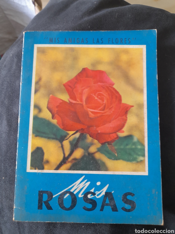 Libros de segunda mano: Mis rosas. Mis amigas las flores - Foto 1
