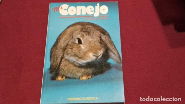 Libros de segunda mano: LIBRO MI CONEJO - ANNARIE BARRIE - 1991 HISPANO EUROPA - Foto 1
