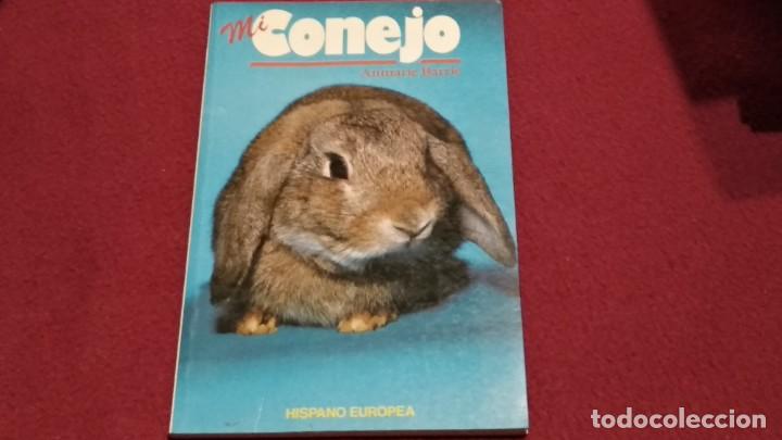 Libros de segunda mano: LIBRO MI CONEJO - ANNARIE BARRIE - 1991 HISPANO EUROPA - Foto 2