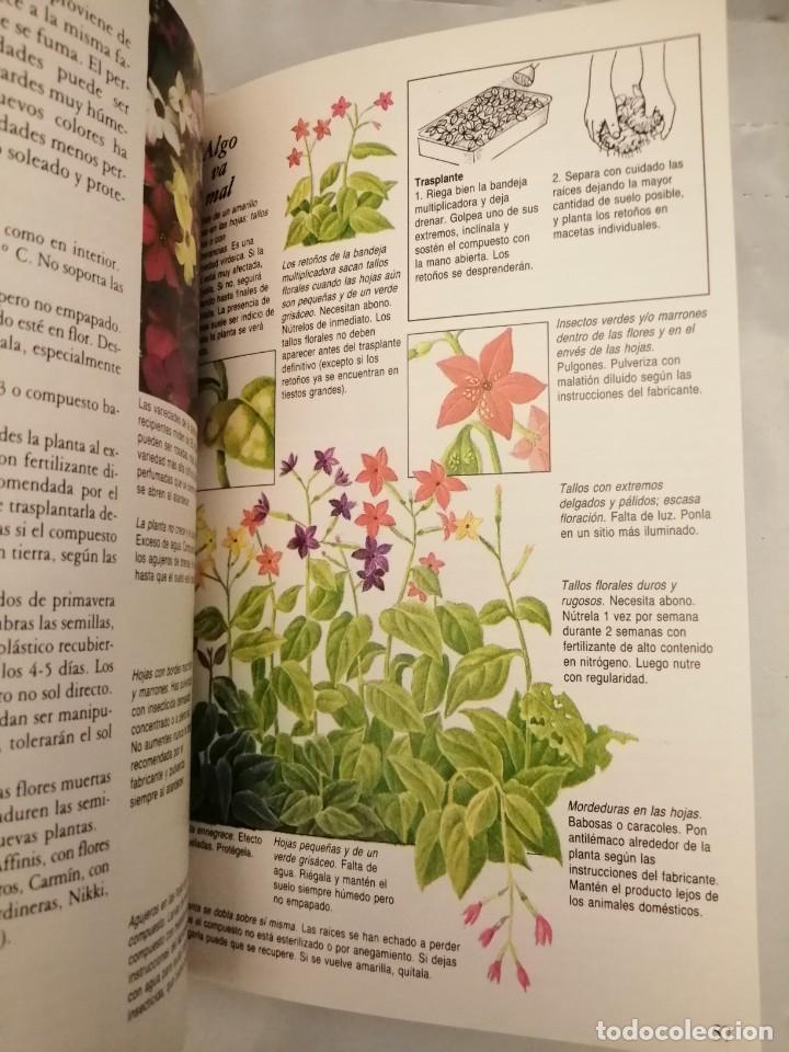 Libros de segunda mano: C&Oacute;MO CUIDAR TUS PLANTAS DE BALC&Oacute;N (TAPA DURA) - Foto 3