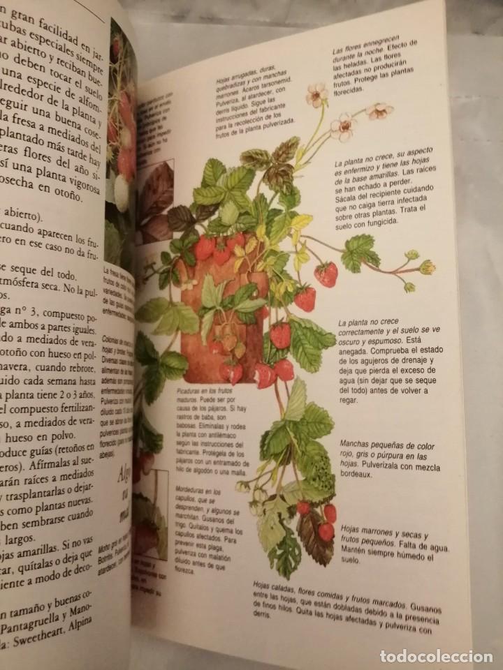 Libros de segunda mano: C&Oacute;MO CUIDAR TUS PLANTAS DE BALC&Oacute;N (TAPA DURA) - Foto 4