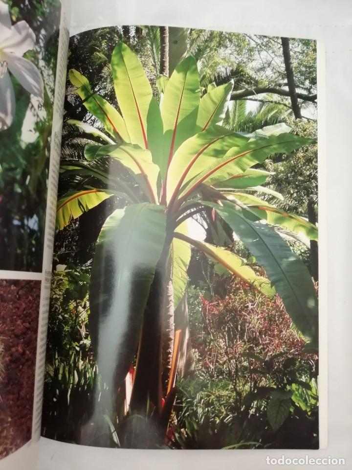 Libros de segunda mano: FLORES DE LAS CANARIAS (EDICI&Oacute;N ESPA&Ntilde;OLA) - Foto 4