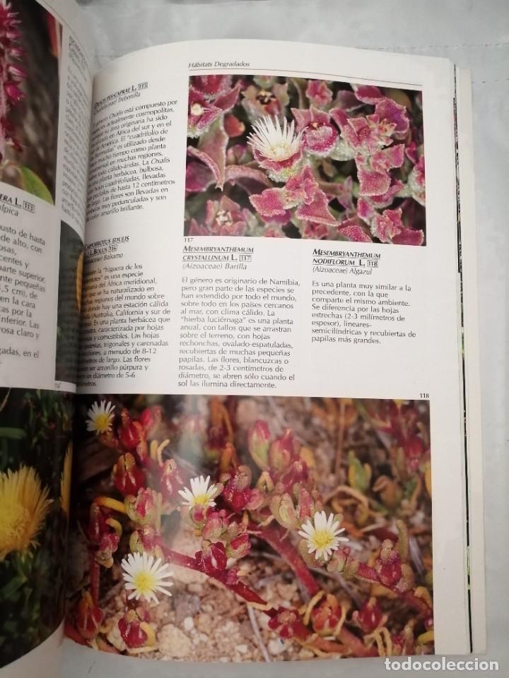 Libros de segunda mano: FLORES DE LAS CANARIAS (EDICI&Oacute;N ESPA&Ntilde;OLA) - Foto 5