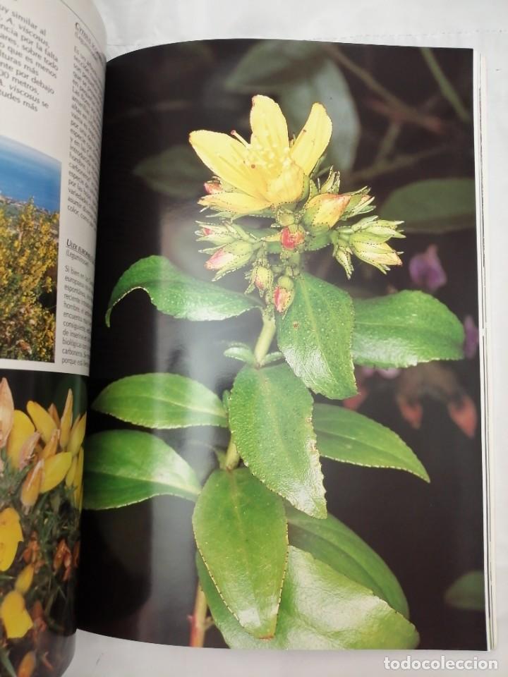 Libros de segunda mano: FLORES DE LAS CANARIAS (EDICI&Oacute;N ESPA&Ntilde;OLA) - Foto 6