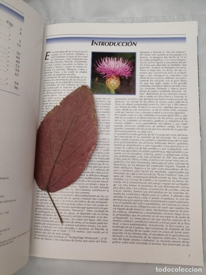 Libros de segunda mano: FLORES DE LAS CANARIAS (EDICI&Oacute;N ESPA&Ntilde;OLA) - Foto 7