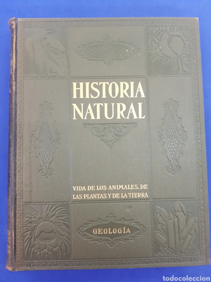 História do Instituto Geológico 