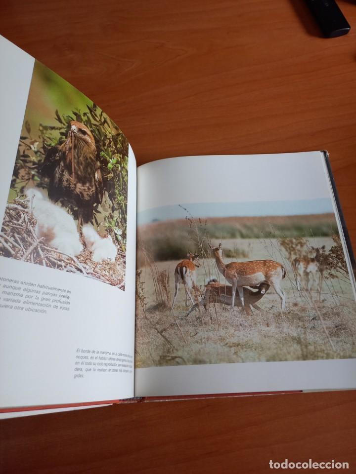 Libros de segunda mano: DO&Ntilde;ANA , JUAN ANTONIO FERNANDEZ - Foto 2
