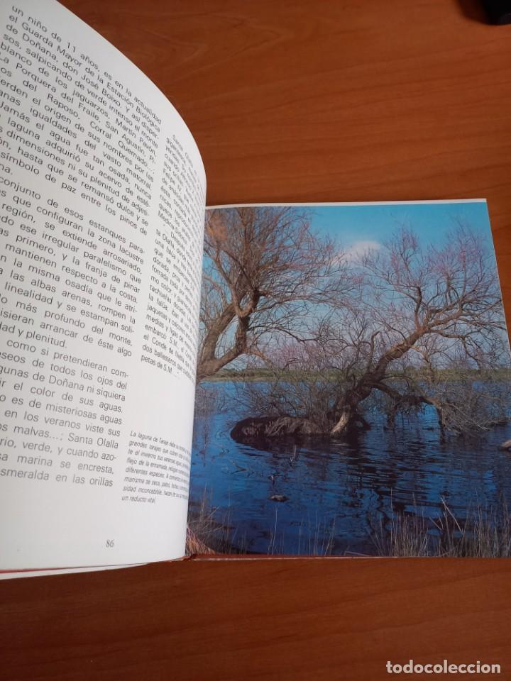 Libros de segunda mano: DO&Ntilde;ANA , JUAN ANTONIO FERNANDEZ - Foto 3