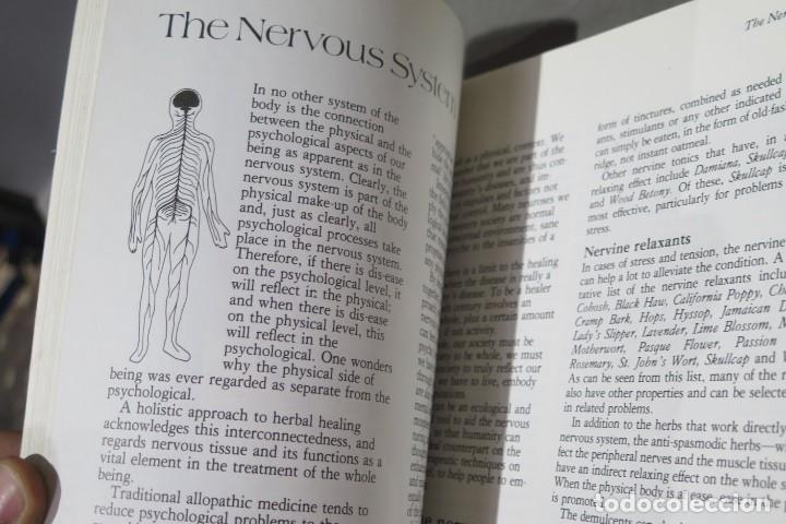 Libros de segunda mano: Holistic Herbal. Hoffmann - Foto 2