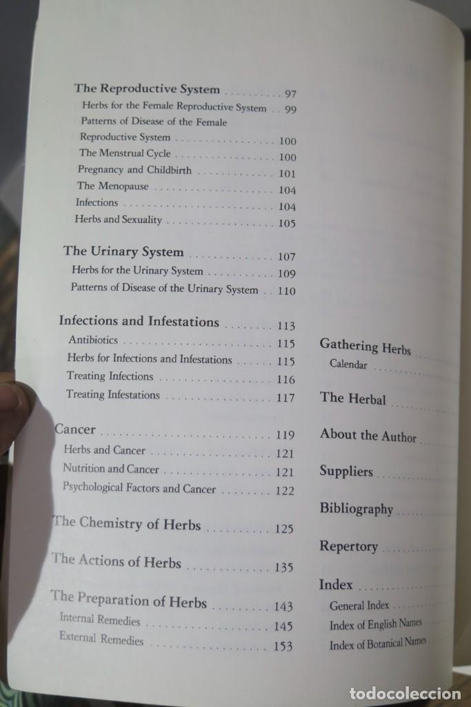 Libros de segunda mano: Holistic Herbal. Hoffmann - Foto 4