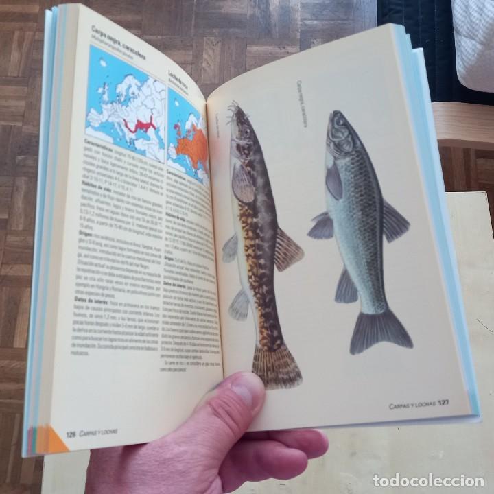 Libros de segunda mano: PECES DE AGUA DULCE - UWE HARTMANN - Foto 3