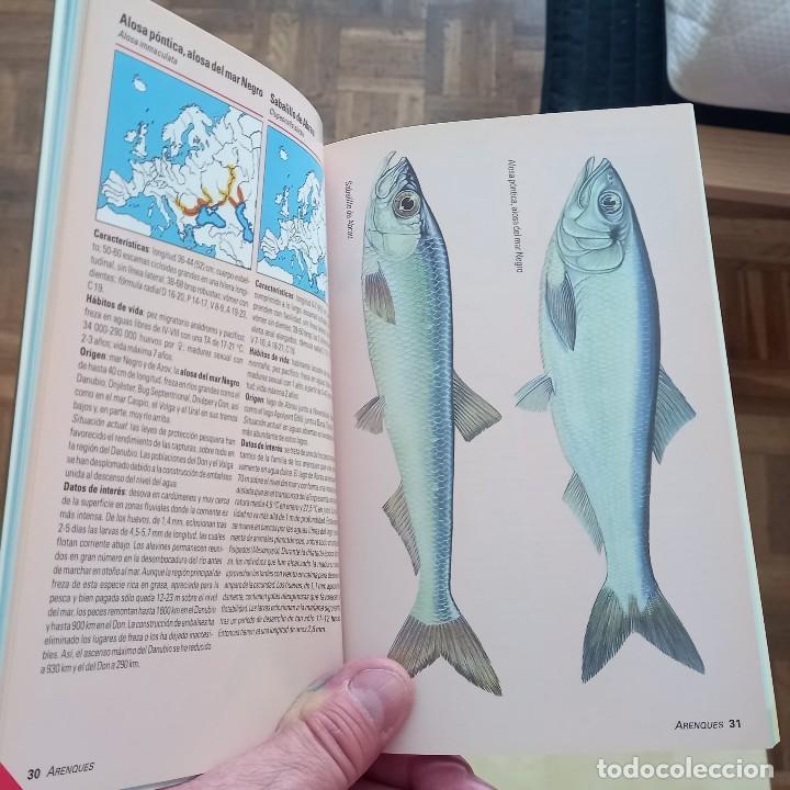 Libros de segunda mano: PECES DE AGUA DULCE - UWE HARTMANN - Foto 4