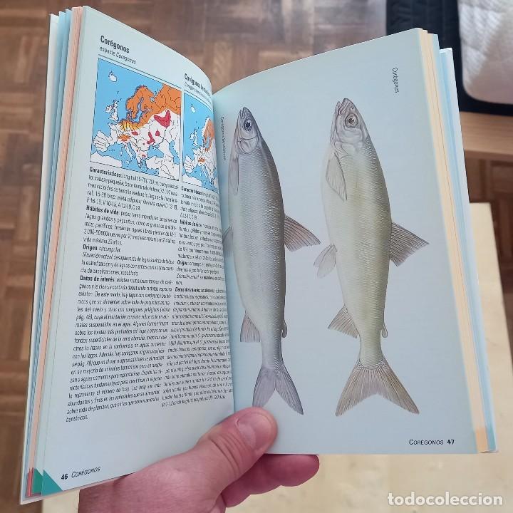Libros de segunda mano: PECES DE AGUA DULCE - UWE HARTMANN - Foto 5