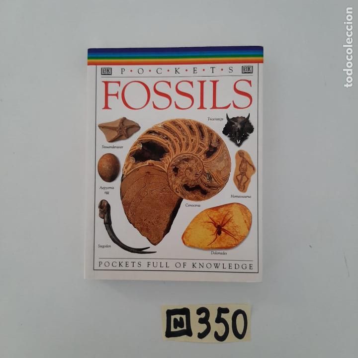 Libros de segunda mano: Fossils - Foto 1
