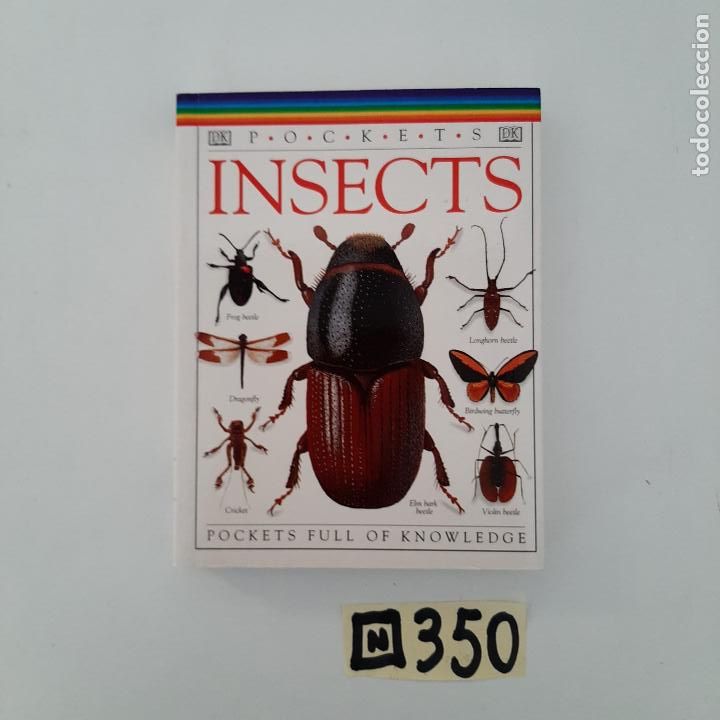 Libros de segunda mano: Insects - Foto 1