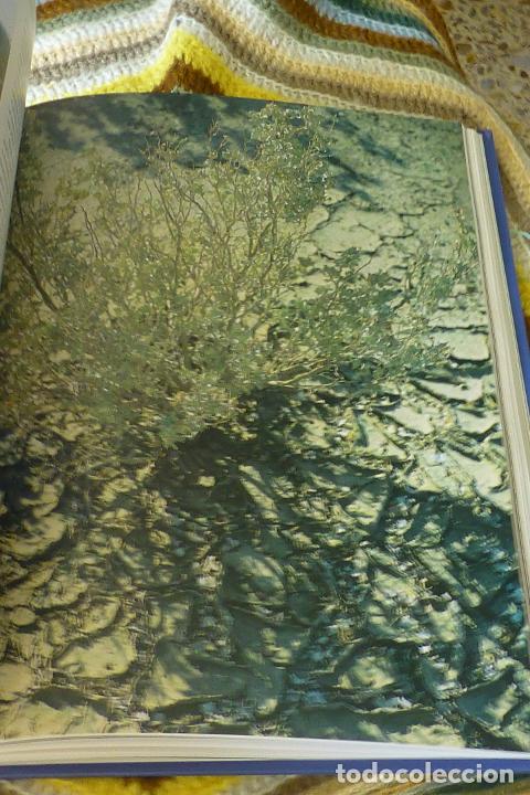 Libros de segunda mano: EL AGUA. RECURSO NECESARIO PARA LA VIDA. EDICIONES AUPPER. - Foto 5
