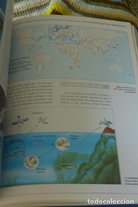 Libros de segunda mano: EL AGUA. RECURSO NECESARIO PARA LA VIDA. EDICIONES AUPPER. - Foto 6