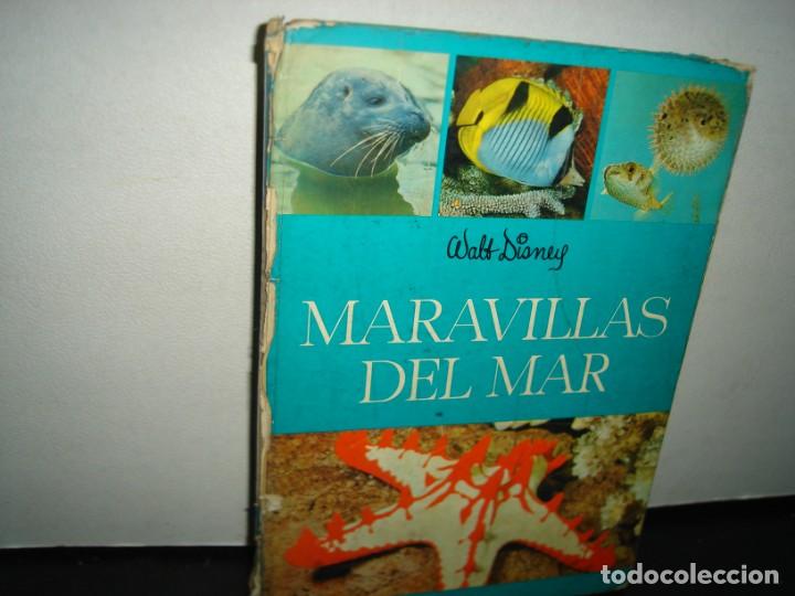 Libros de segunda mano: 9- MARAVILLAS DEL MAR - WALT DISNEY - 1968 - Foto 1