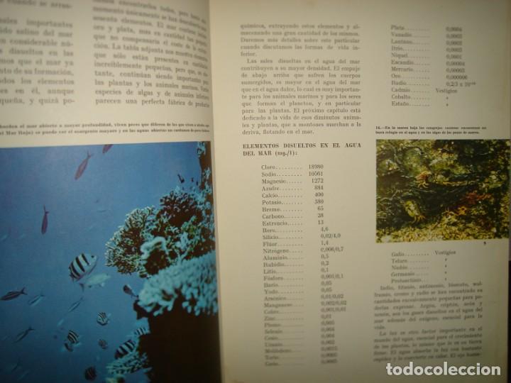 Libros de segunda mano: 9- MARAVILLAS DEL MAR - WALT DISNEY - 1968 - Foto 6