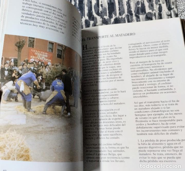 Libros de segunda mano: El cerdo ib&eacute;rico, crianza y elaboraci&oacute;n, 1998 - Foto 4