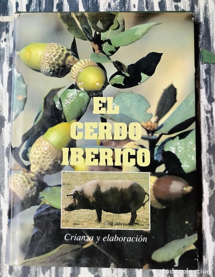 Libros de segunda mano: El cerdo ib&eacute;rico, crianza y elaboraci&oacute;n, 1998 - Foto 1