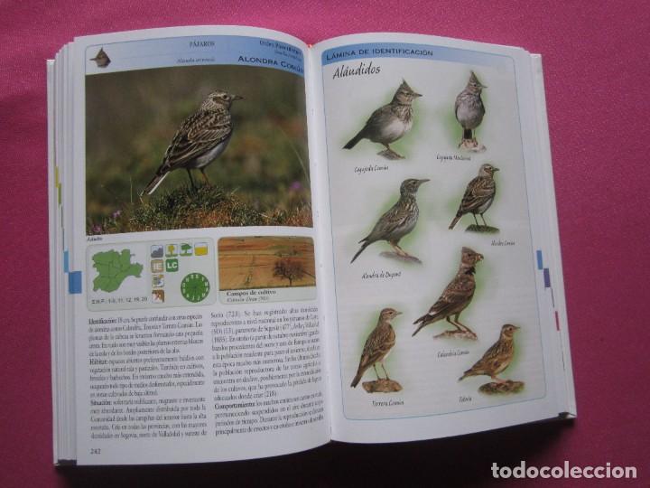 Libros de segunda mano: FAUNA VERTEBRADA DE CASTILLA Y LE&Oacute;N L111 - Foto 6