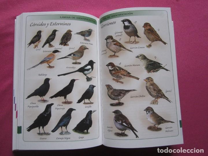 Libros de segunda mano: FAUNA VERTEBRADA DE CASTILLA Y LE&Oacute;N L111 - Foto 2