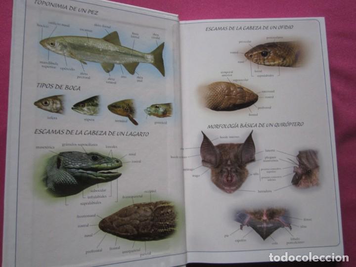 Libros de segunda mano: FAUNA VERTEBRADA DE CASTILLA Y LE&Oacute;N L111 - Foto 4