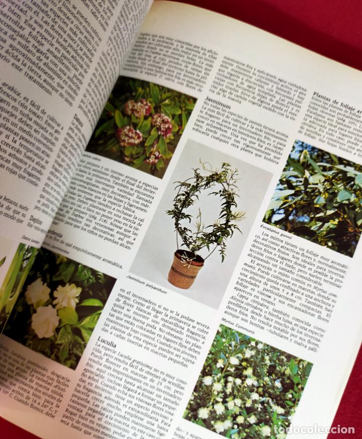 Libros de segunda mano: EL JARD&Iacute;N EN CASA EDITORIAL BLUME - Foto 5
