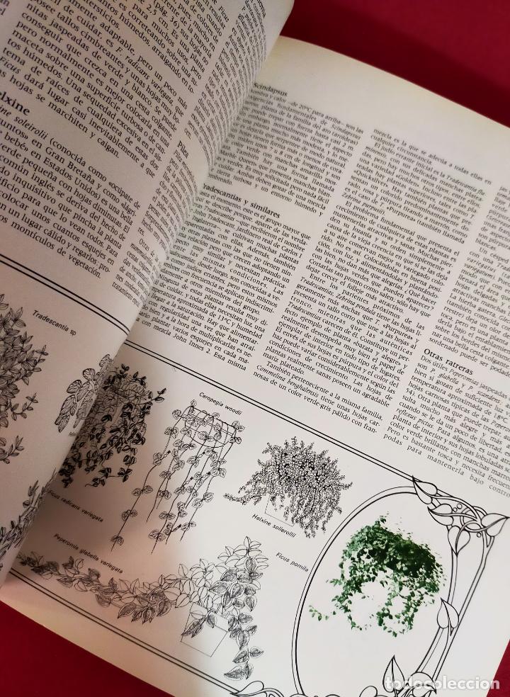 Libros de segunda mano: EL JARD&Iacute;N EN CASA EDITORIAL BLUME - Foto 6