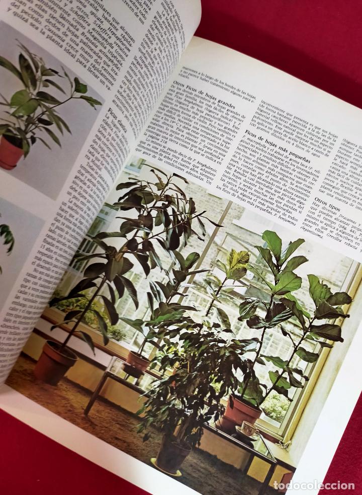 Libros de segunda mano: EL JARD&Iacute;N EN CASA EDITORIAL BLUME - Foto 7