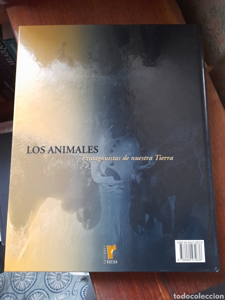 Libros de segunda mano: Los animales protagonistas de nuestra tierra. - Foto 2