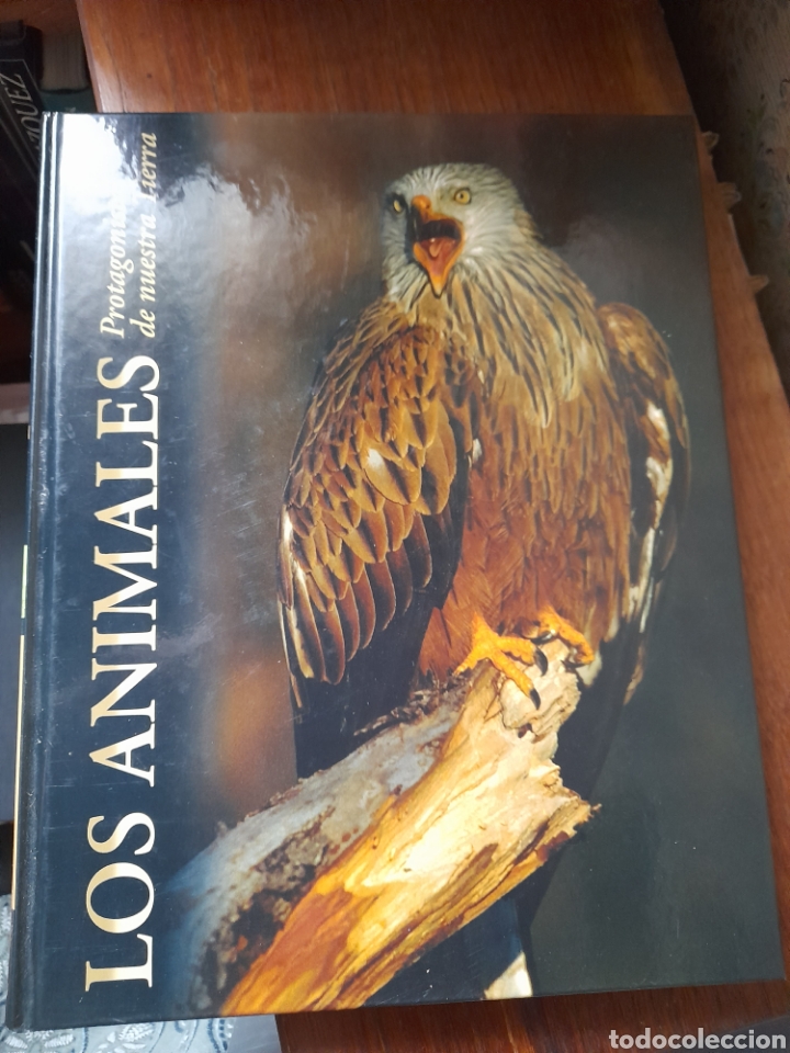 Libros de segunda mano: Los animales protagonistas de nuestra tierra. - Foto 1